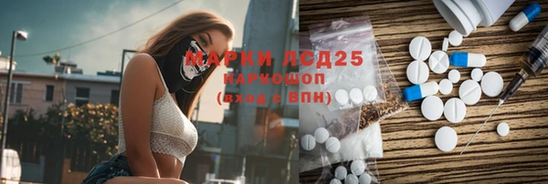 ПСИЛОЦИБИНОВЫЕ ГРИБЫ Козловка