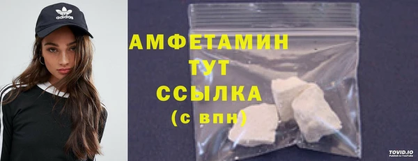 ПСИЛОЦИБИНОВЫЕ ГРИБЫ Козловка