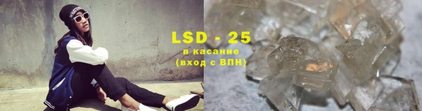 ПСИЛОЦИБИНОВЫЕ ГРИБЫ Козловка