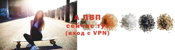 ПСИЛОЦИБИНОВЫЕ ГРИБЫ Козловка