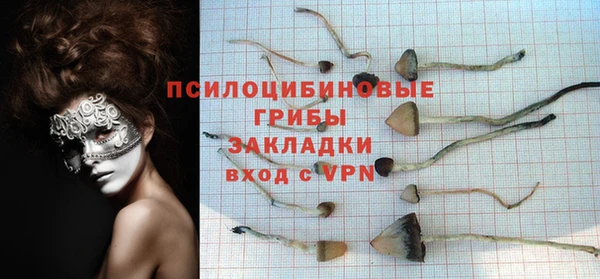 ПСИЛОЦИБИНОВЫЕ ГРИБЫ Козловка