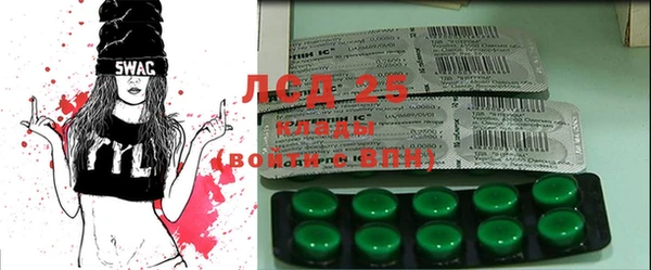 ПСИЛОЦИБИНОВЫЕ ГРИБЫ Козловка